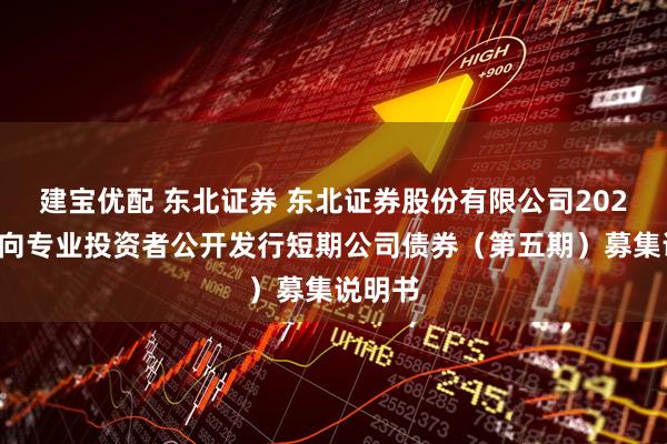 建宝优配 东北证券 东北证券股份有限公司2025年面向专业投资者公开发行短期公司债券（第五期）募集说明书
